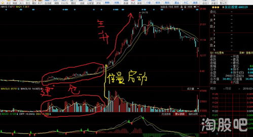 股票如何看多少散户