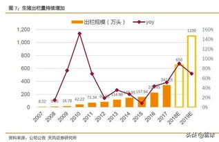 高手如何研究一只股票