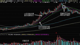 如何对待止损的股票行业
