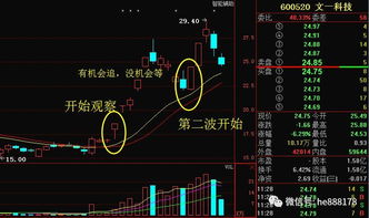 股票如何建立股票池