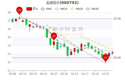 盐湖股票前景如何