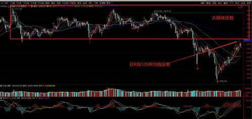 明天的证券信息怎么样