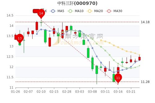 中科三环股票中报如何