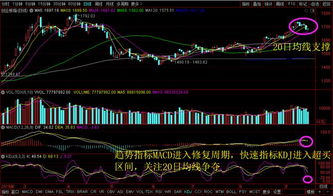 证券 di 怎么看