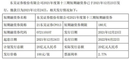 证券发行怎么填写