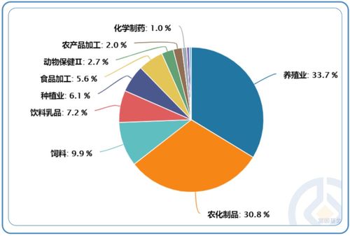 股票账户如何分类