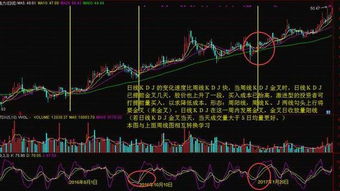 如何选取股票指标