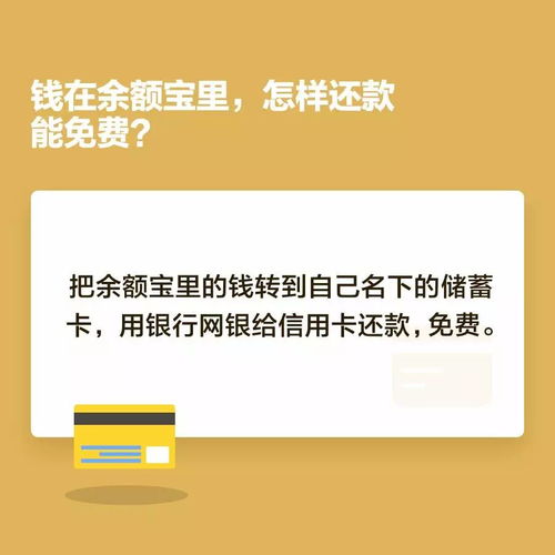 宠物证券化怎么用银行卡