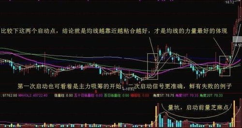 炒股成功后如何选股票 炒股成功后如何选股票
