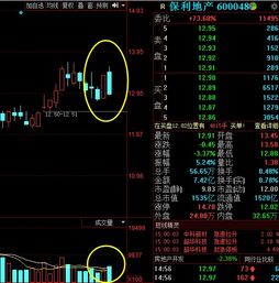 如何看待今天股票的大跌