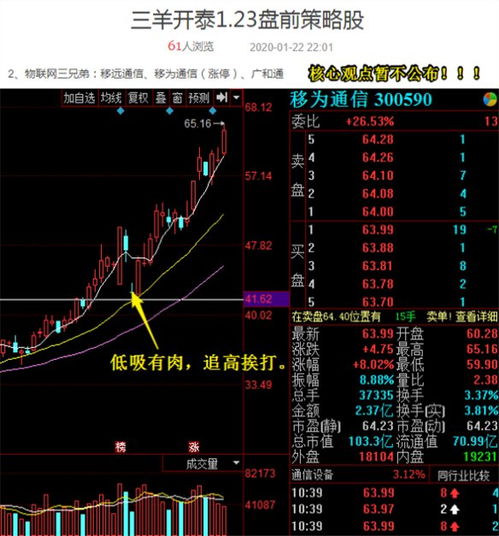 赵老哥如何看他的股票