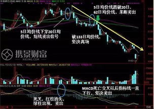 如何看待高位股票
