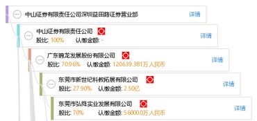 中山证券怎么查询