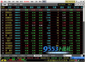 民生证券怎么申购