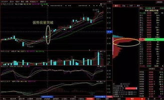 股票里如何看筹码集中度