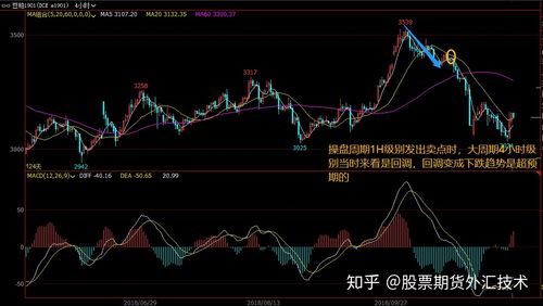期货公司如何交易股票 期货公司如何交易股票