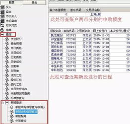股票申购如何操作