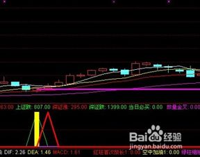 如何测试股票评分