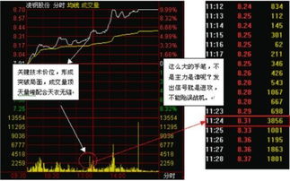 股票如何设置涨停板 股票如何设置涨停板