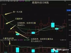 股票如何全面分析