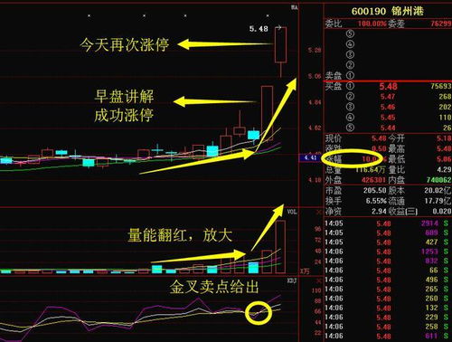 如何持有大涨的股票知乎 如何持有大涨的股票知乎