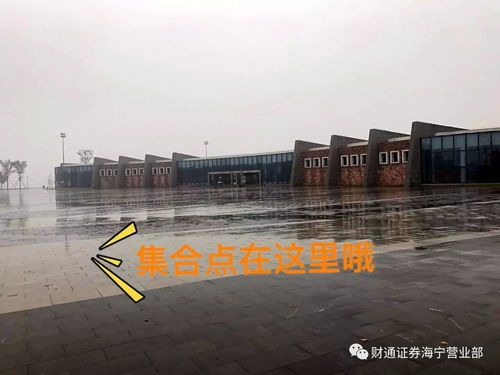 动态证券桌面怎么设置