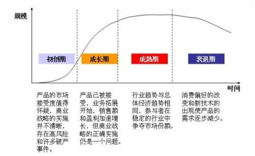 生命周期如何选股票