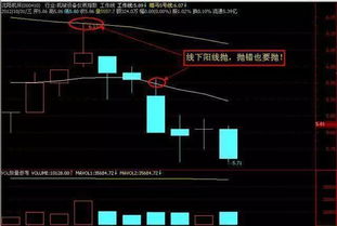 如何鉴定股票五位数