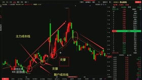 如何在市场上选股票