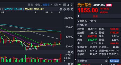 未来股票如何选购新股票