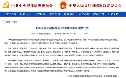滥用证券怎么认定