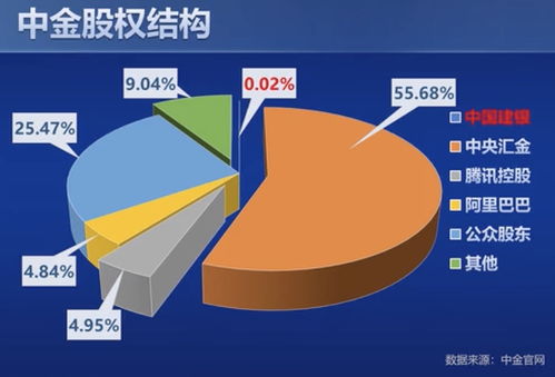 如何查中金入股股票