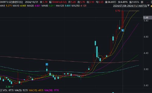 如何向股票公司借股票