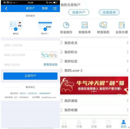 怎么查看证券户