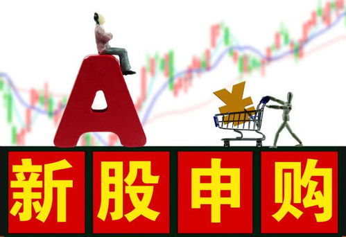 股票如何认购新股票 股票如何认购新股票