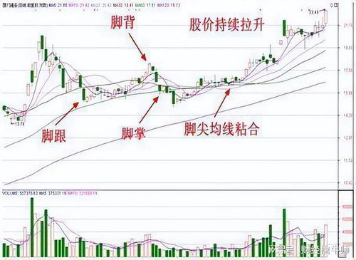 如何操作股票本金