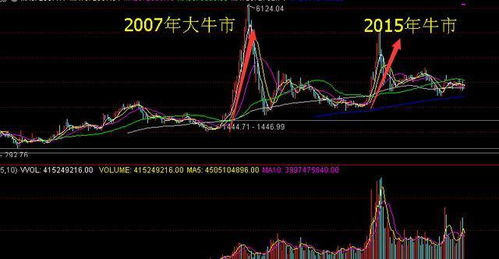 如何判断牛市的股票涨跌