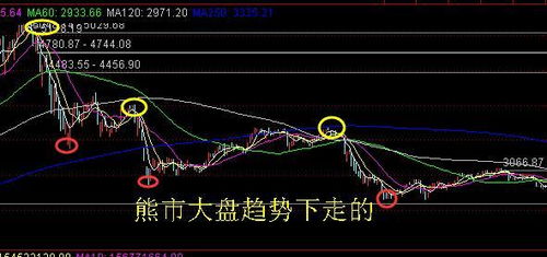 如何判断牛市的股票涨跌