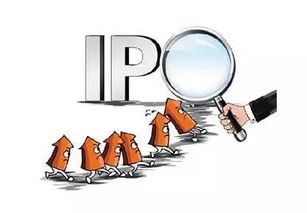 证券公司质控专员怎么样