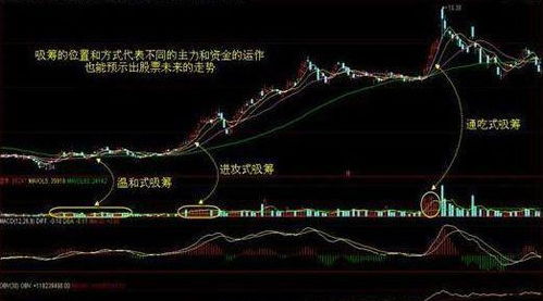如何学会不看股票