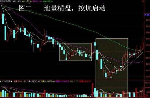 股票回档后市如何
