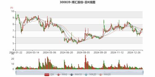 股票300839如何