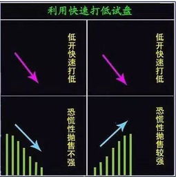 如何专心炒一两只股票