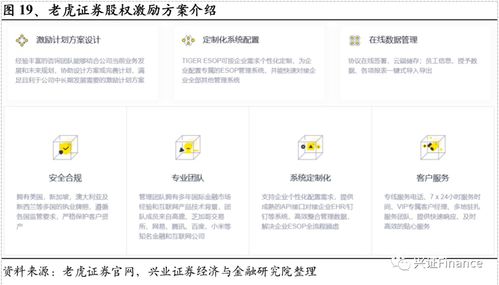 兴业证券怎么选