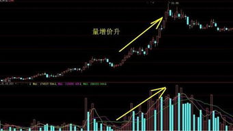 如何看图识别股票