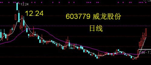 威龙股票如何