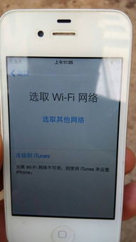 开的证券忘了账号怎么查