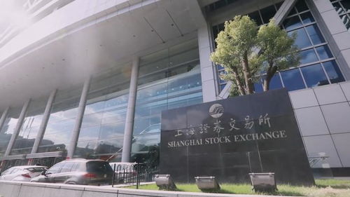 上海证券交易所怎么样了