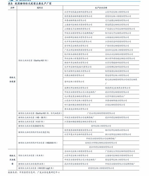 证券账户怎么查到分红