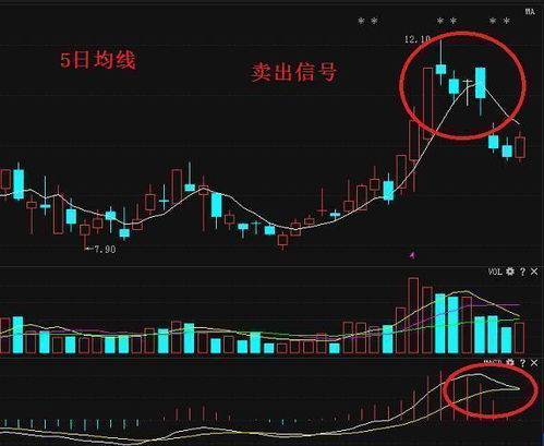 英文如何形容股票大跌了